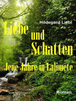 cover image of Liebe und Schatten